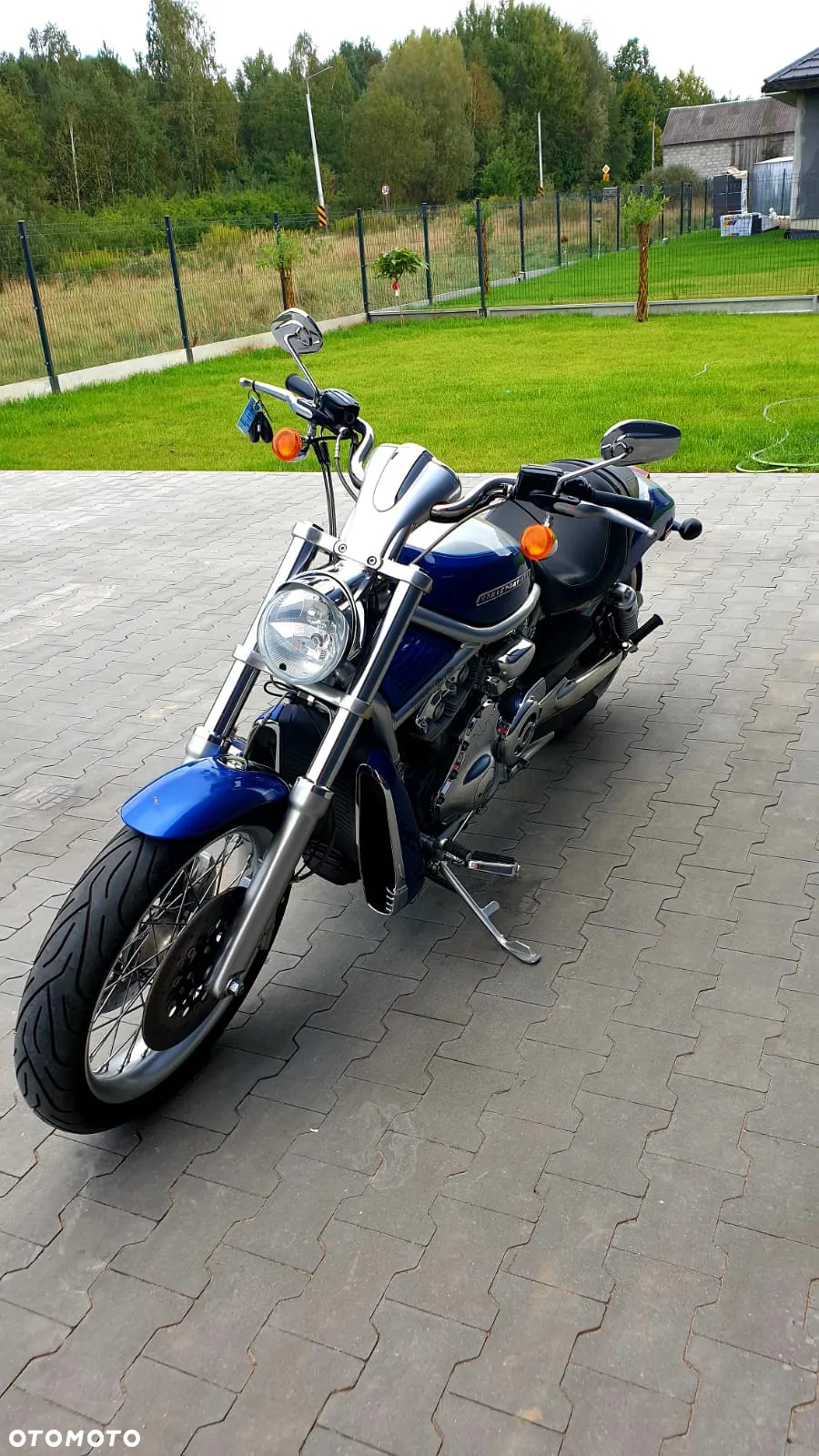 Harley-Davidson Softail V-Rod - 4