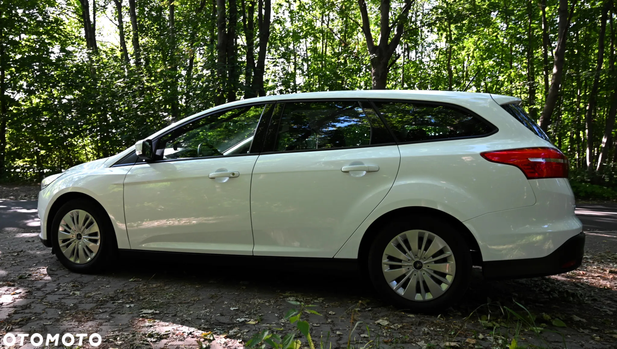 Ford Focus - 24