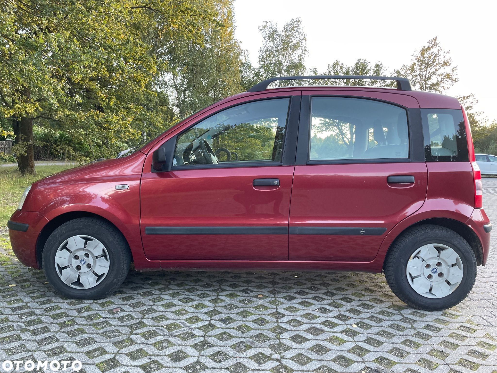 Fiat Panda - 1
