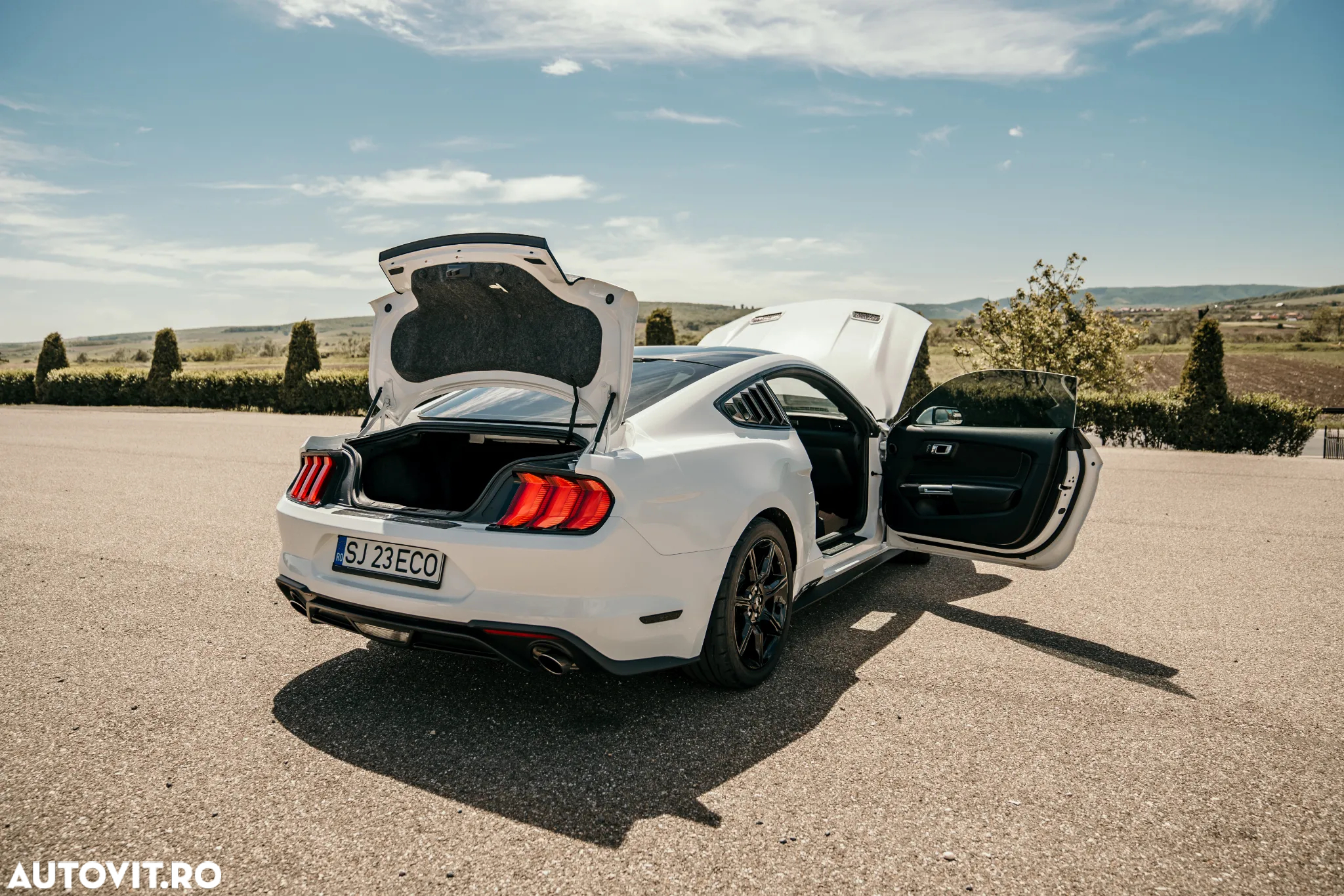 Ford Mustang 2.3 Eco Boost - 18