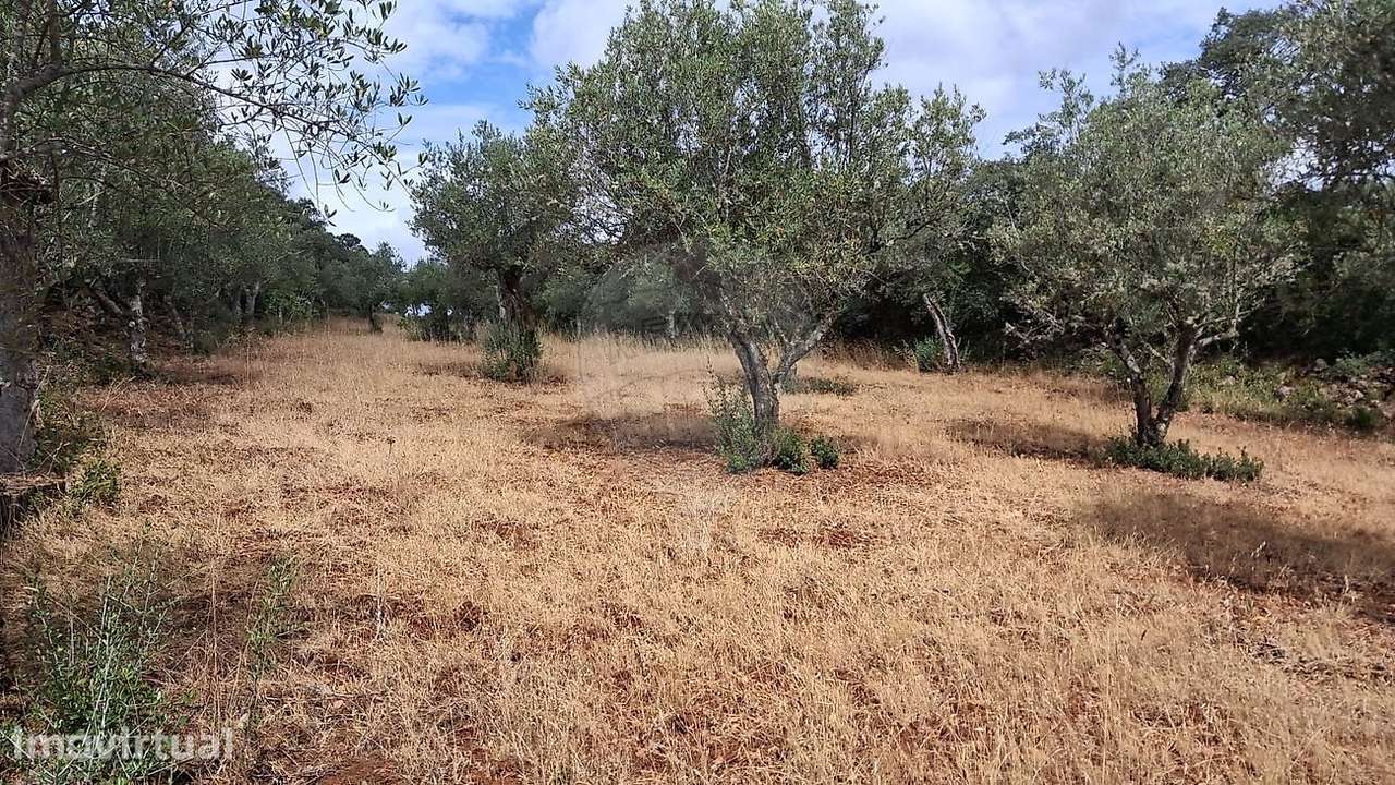 Terreno  para venda - Grande imagem: 3/4