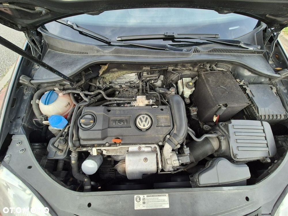 Volkswagen Golf - 36