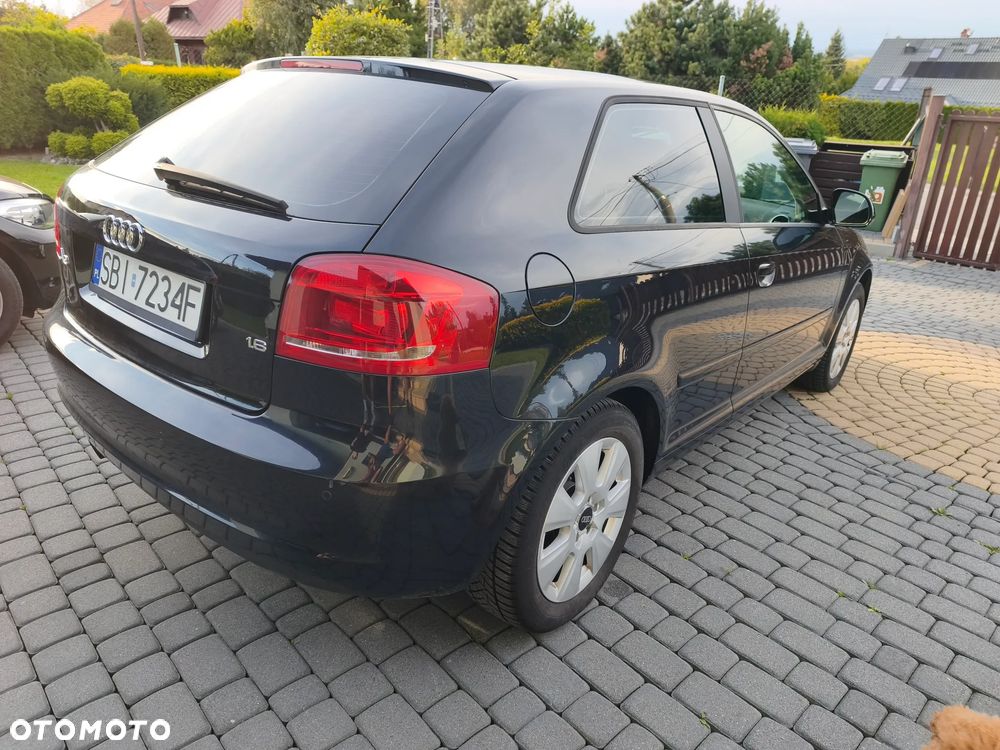 Audi A3 3-drzwiowe 1.6 Limited Edition - 12