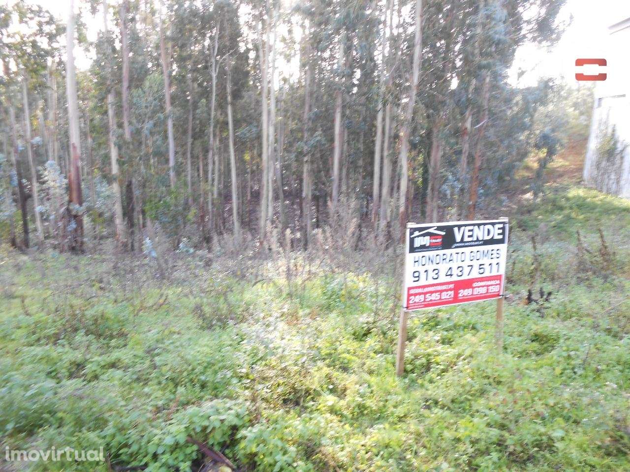 TERRENO COM AREA DE 2000 M2 PARA CONSTRUÇÃO EM CASAL DOS LOBOS SÃO ... - Grande imagem: 5/12