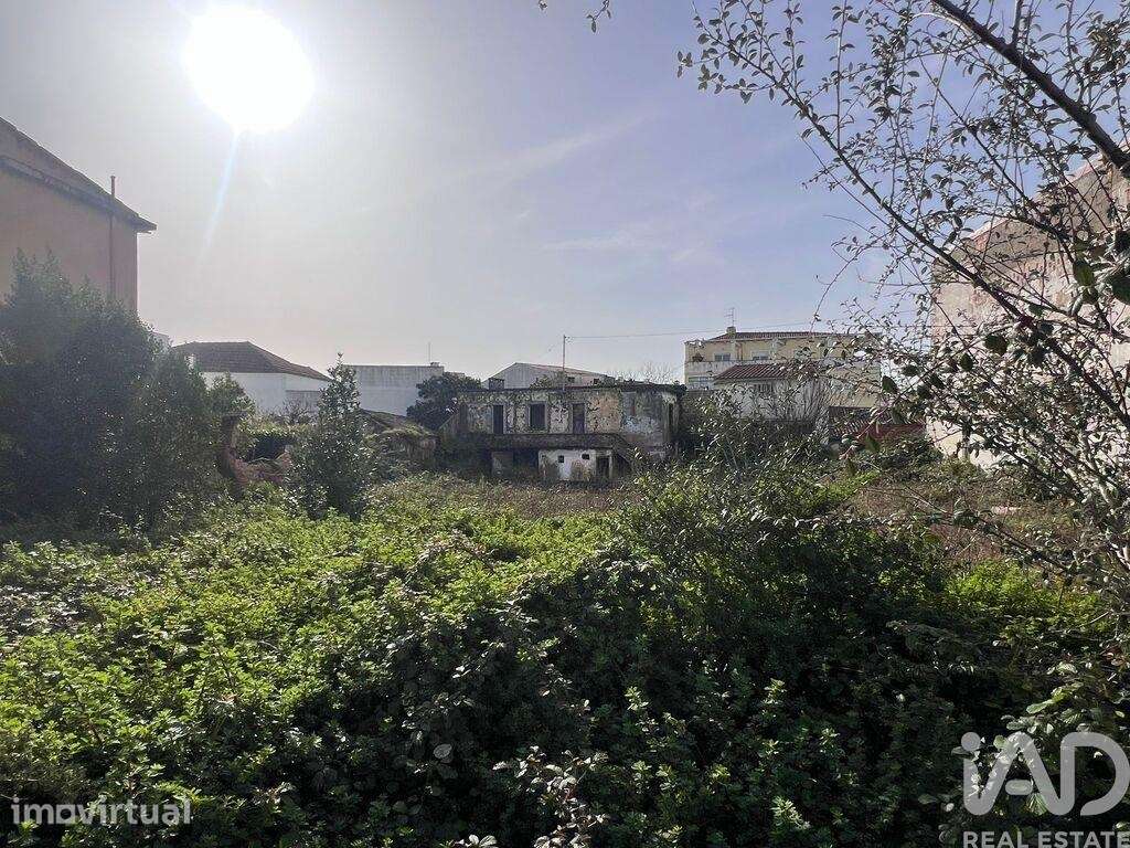 Terreno em Bombarral e Vale Covo - Grande imagem: 3/8