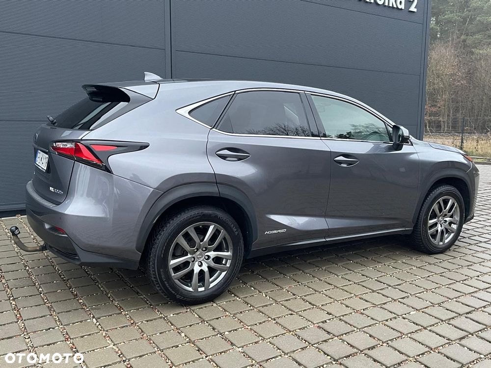 Lexus NX - 8
