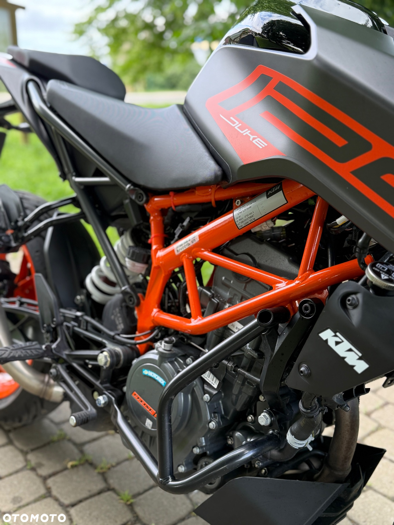 KTM Duke - 7