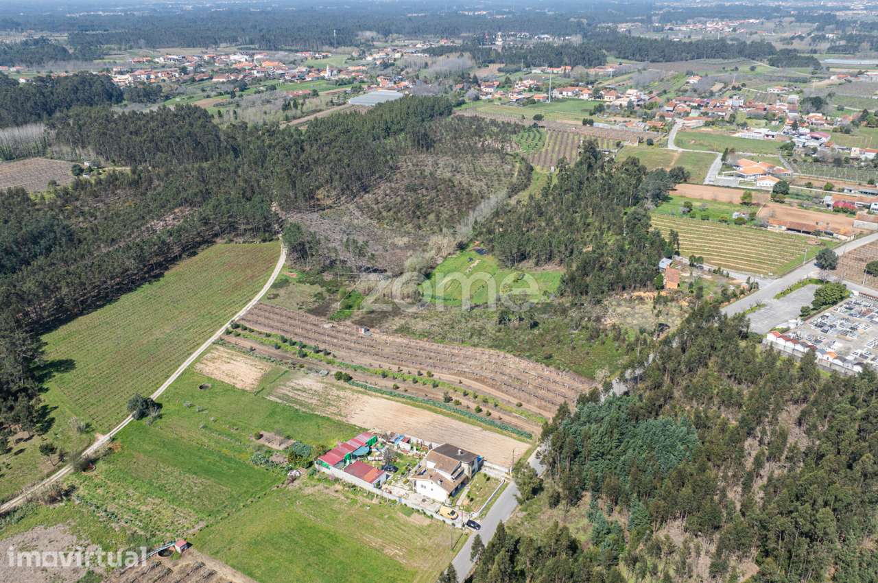 Terreno Urbanizável c/ 67m de frente em Anadia - Grande imagem: 5/15