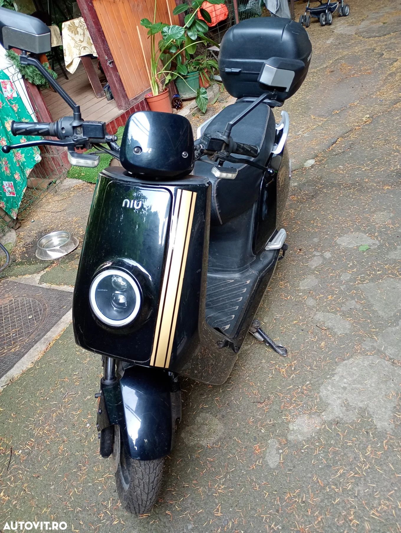 Altul Altul - 1