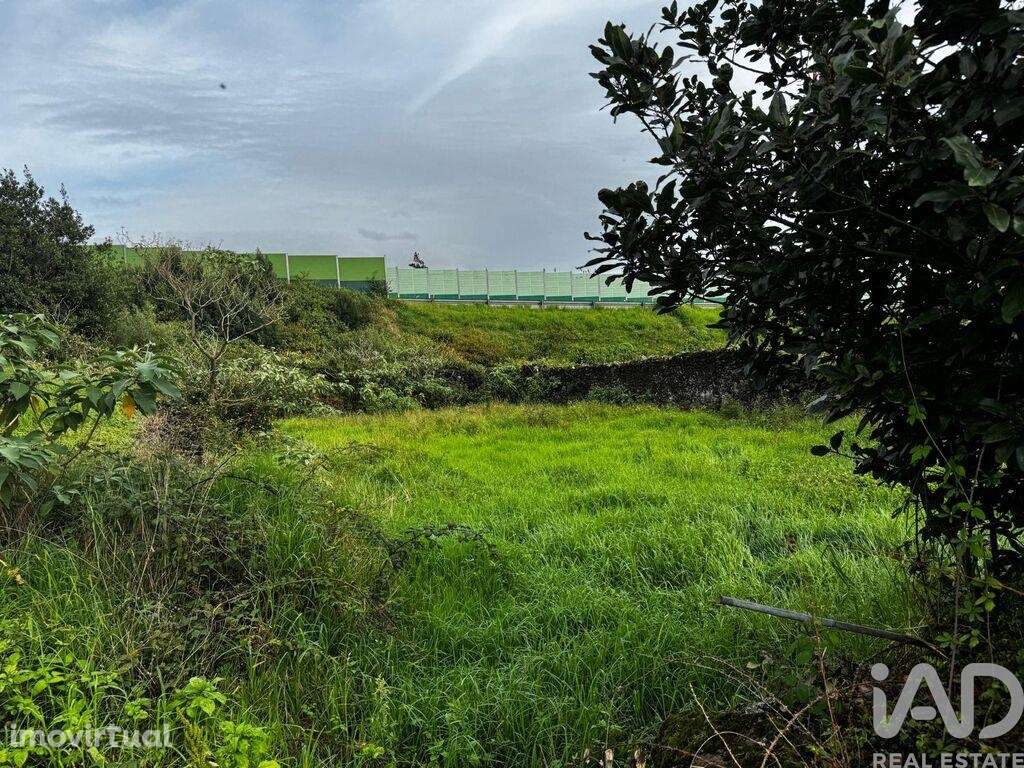 Terreno Agrícola em Lagoa (Nossa Senhora do Rosário) - Grande imagem: 2/4