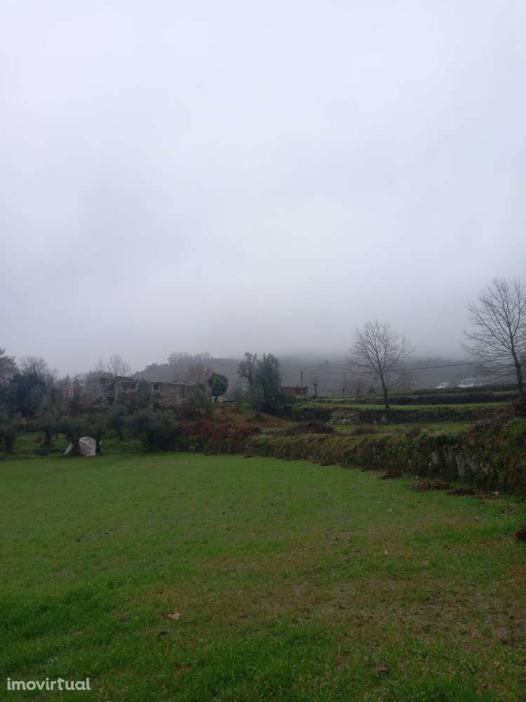 Terreno Rustico Cabeceiras de Basto - Passos - Grande imagem: 4/4
