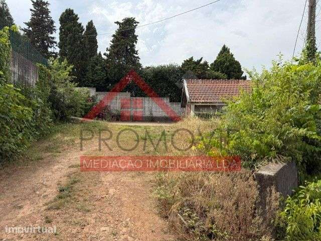 Moradia Restauro Santo Tirso - Grande imagem: 5/9