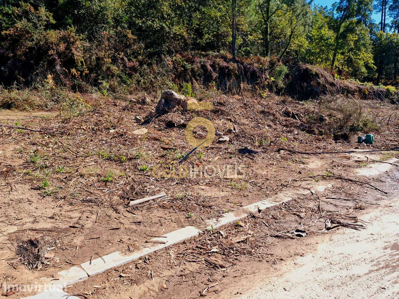 Lote de Terreno  Venda em Pinheiro da Bemposta, Travanca e Palmaz,Oliv - Grande imagem: 2/7