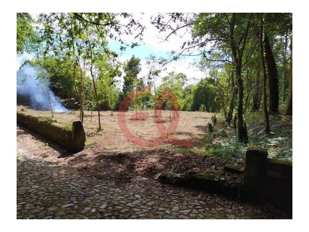 Terreno - Seixas - Caminha - Grande imagem: 2/10