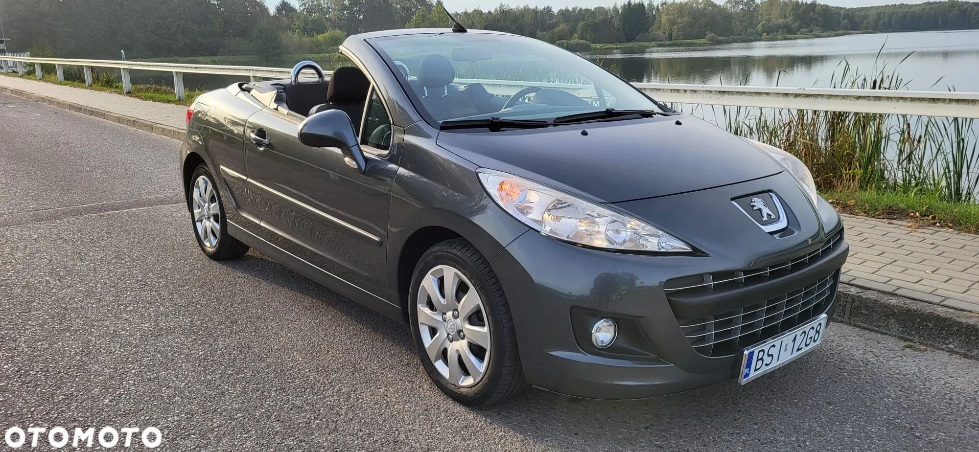 Peugeot 207 - 1