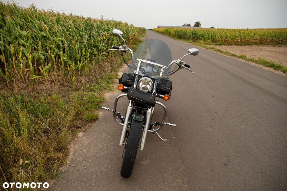 Suzuki Intruder - 3