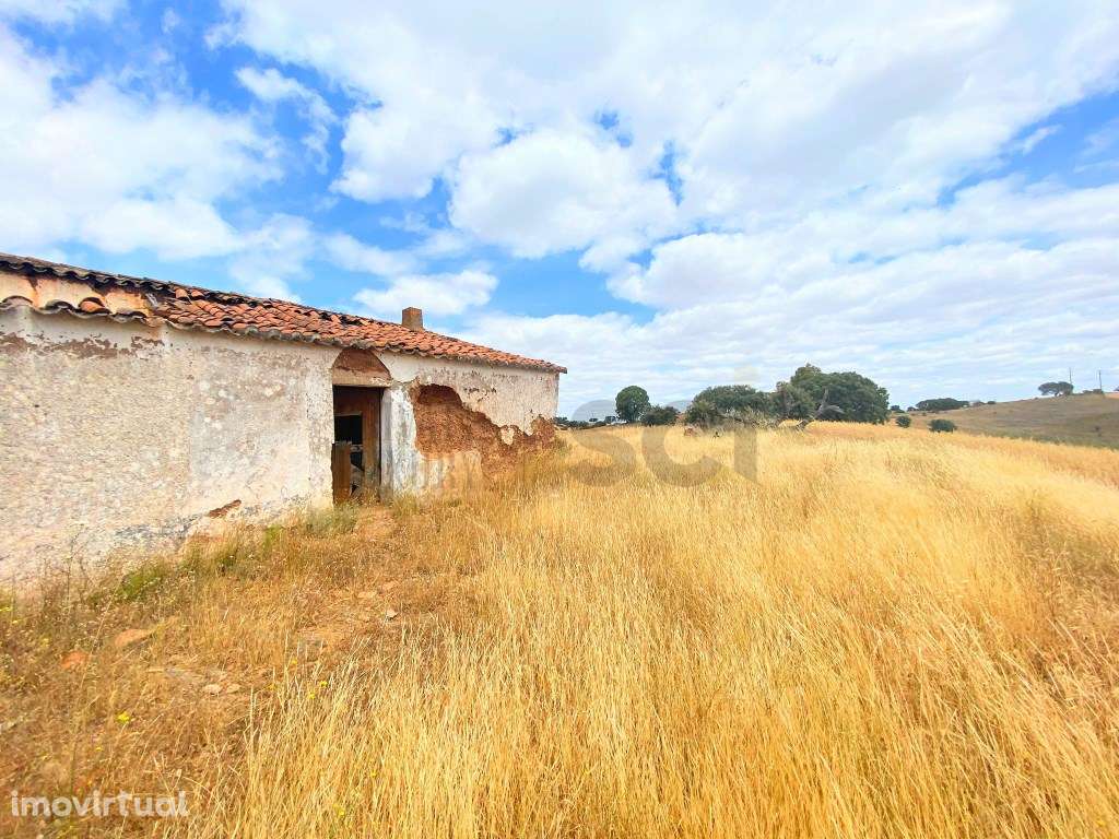 Quinta para recuperar em Serpa - Grande imagem: 3/60