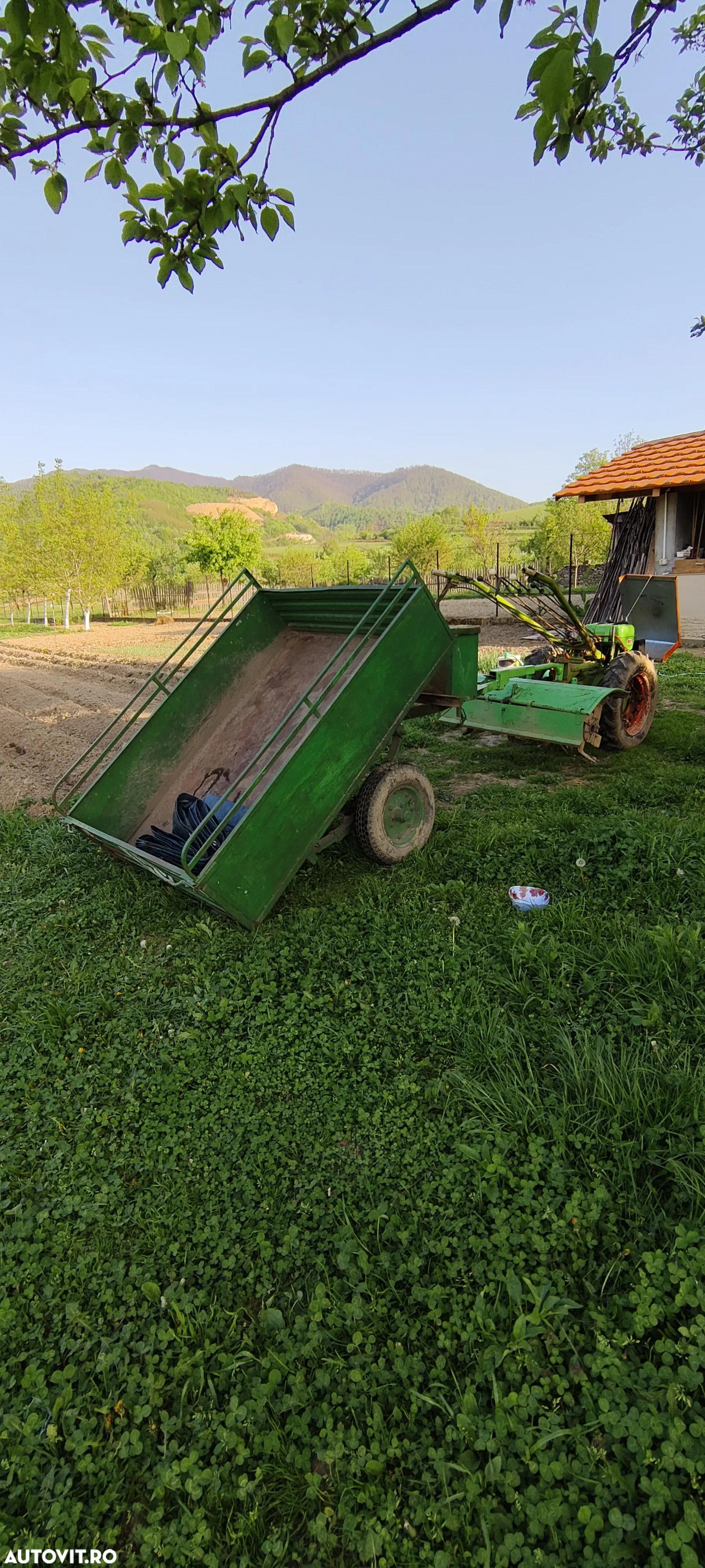 AGRIO Agria - 6