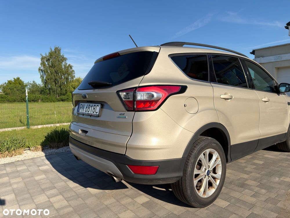 Ford Escape - 8