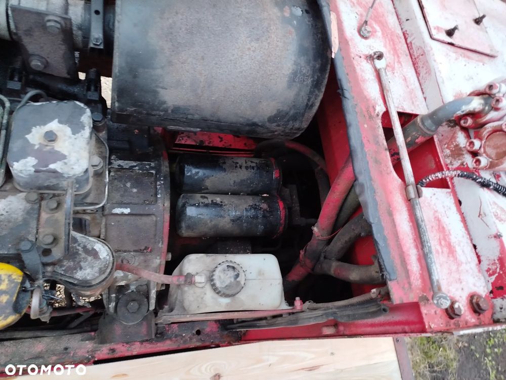 Case 61 błotniak - 11