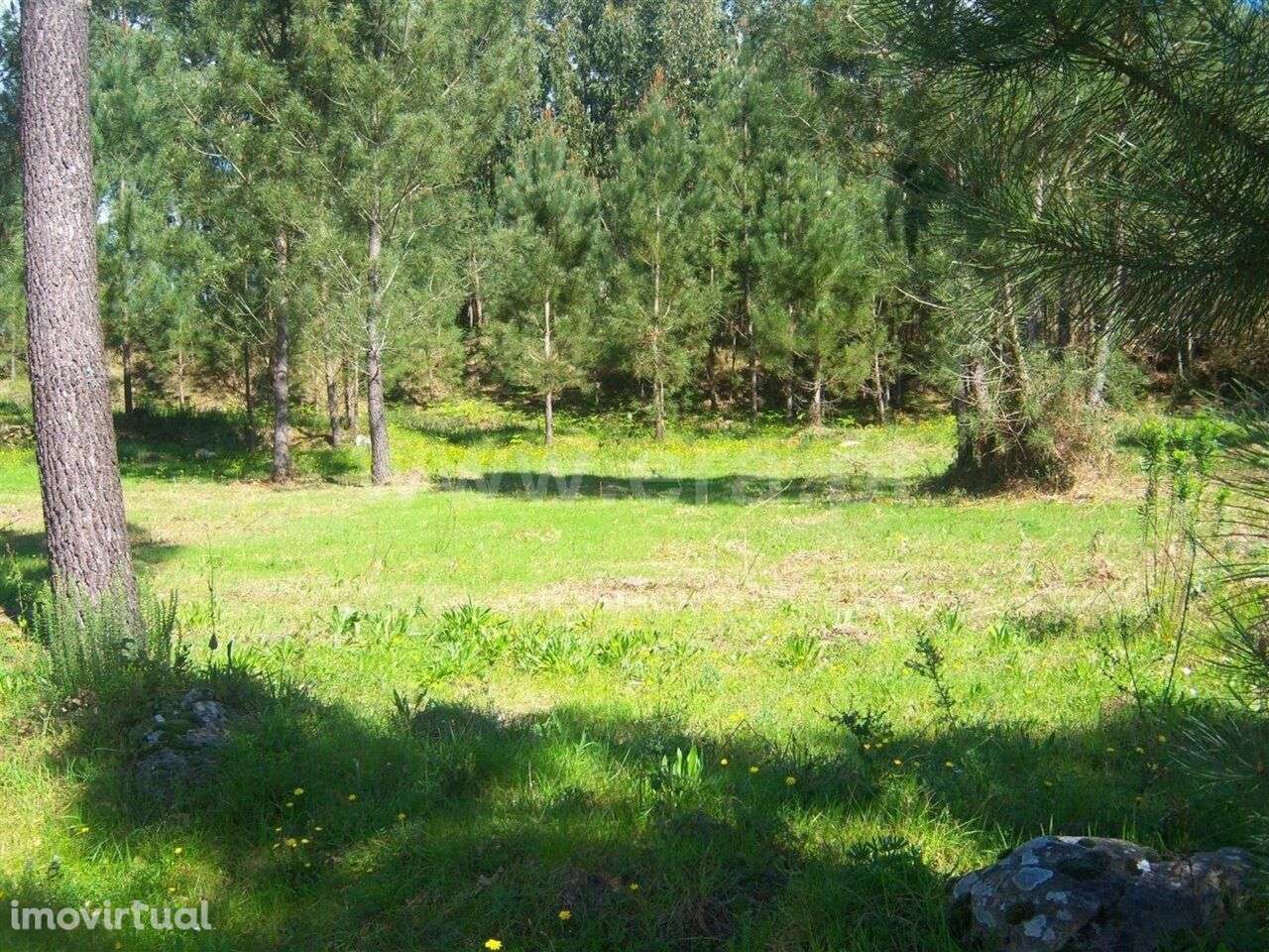 Terreno com ruina / Marco de Canaveses, Sande e São Lourenço - Grande imagem: 3/6