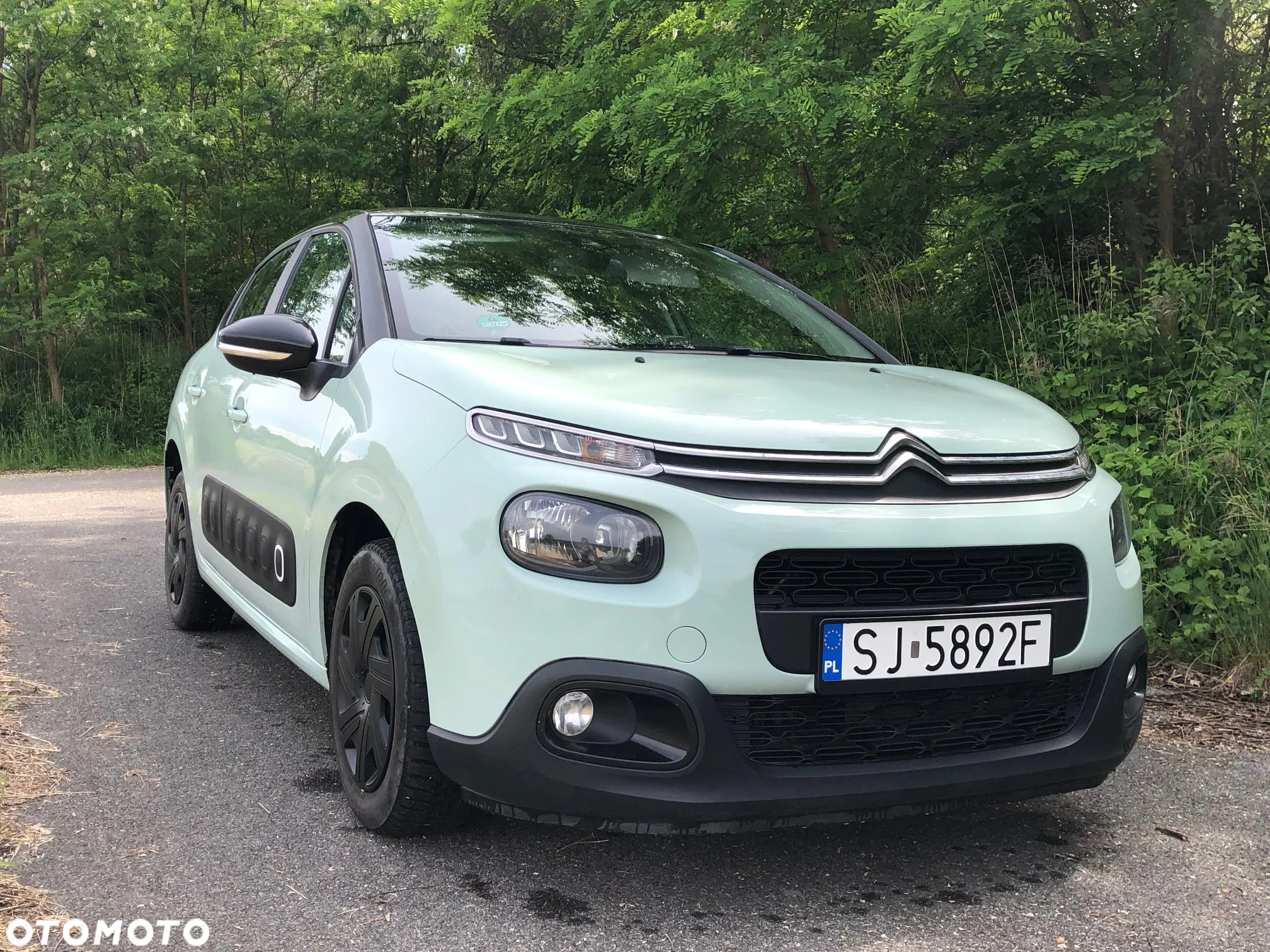 Citroën C3 BlueHDi 75 S&S 83g FEEL - 21