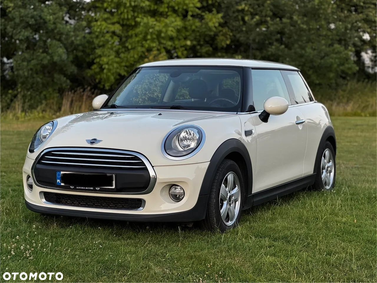 MINI ONE Standard - 1