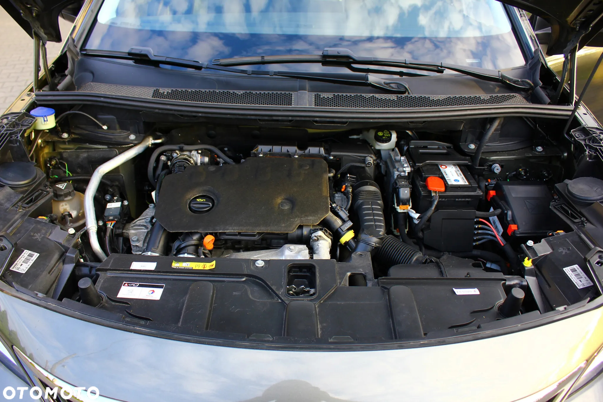 Peugeot 3008 1.5 BlueHDi Active Pack S&S - 34