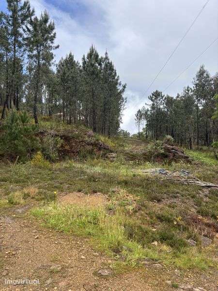 Terreno Calheiros Ponte de Lima - Grande imagem: 2/4