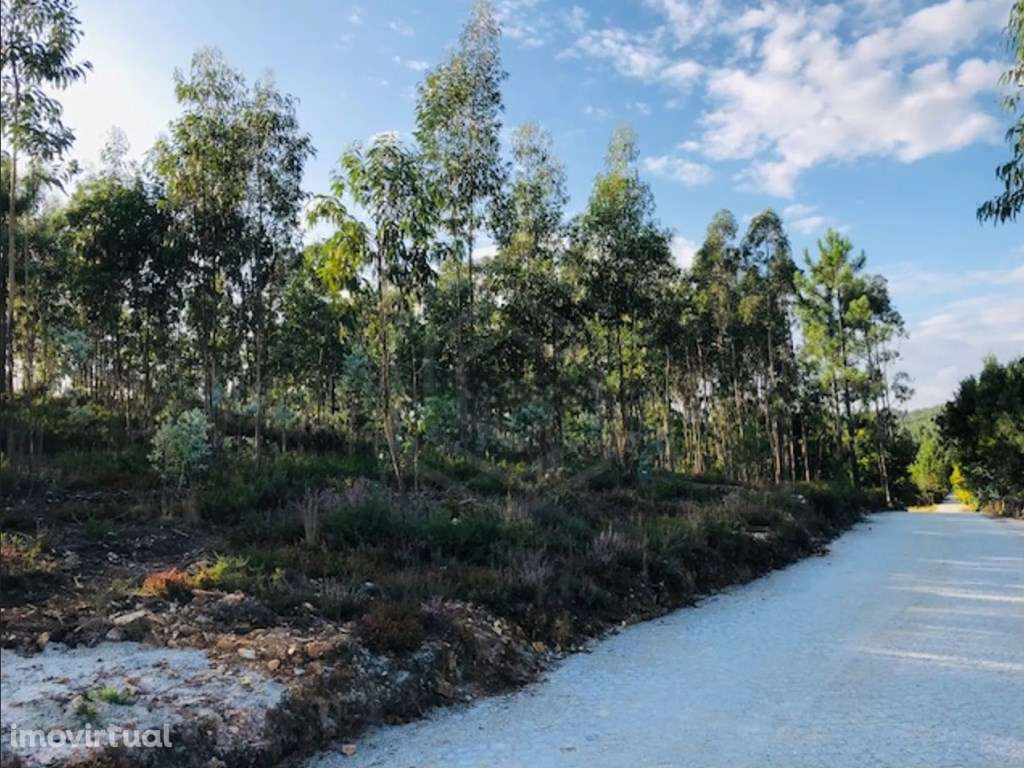 Terreno em Melres com Viabilidade de Construção - Próximo à EN 108 - Grande imagem: 3/4