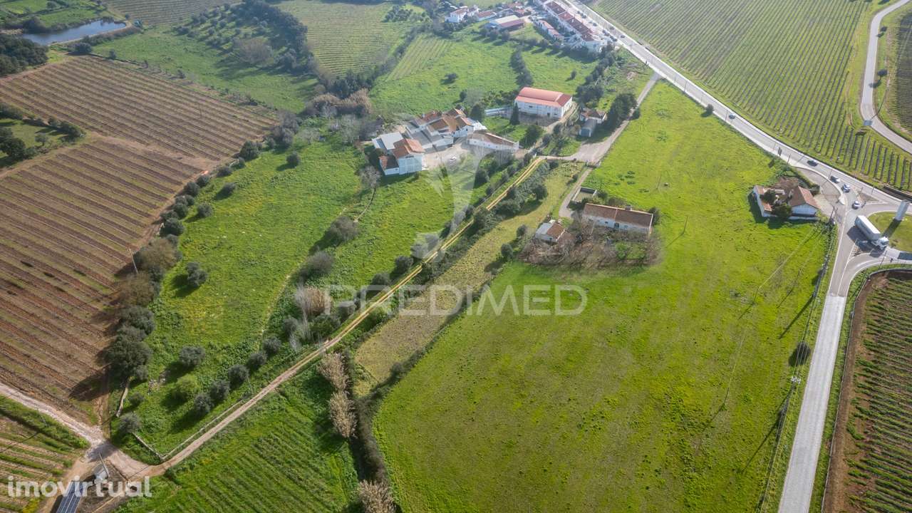 Quinta das Sequeiras - Grande imagem: 4/40