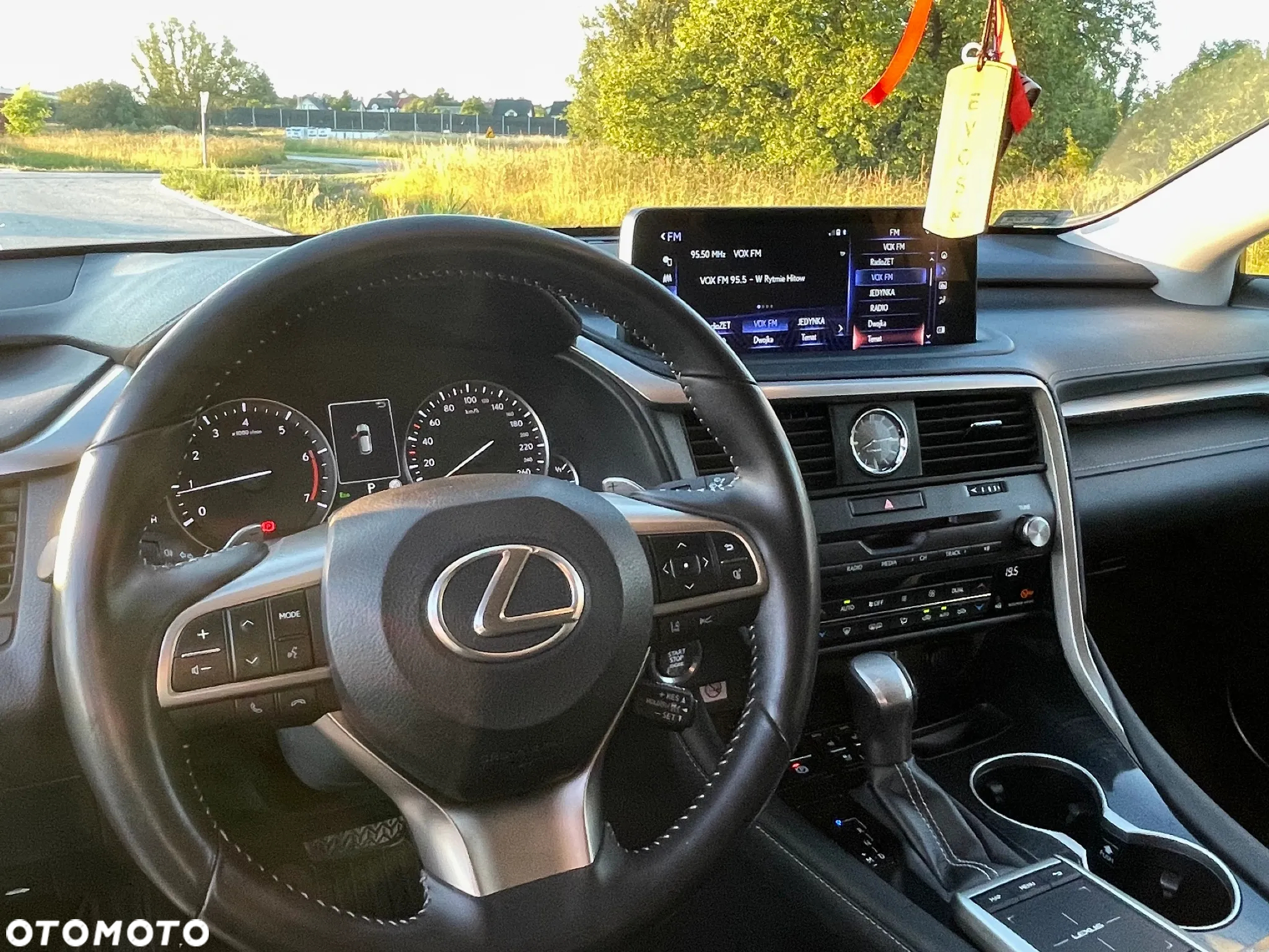 Lexus RX 300 Business Edition + - 7