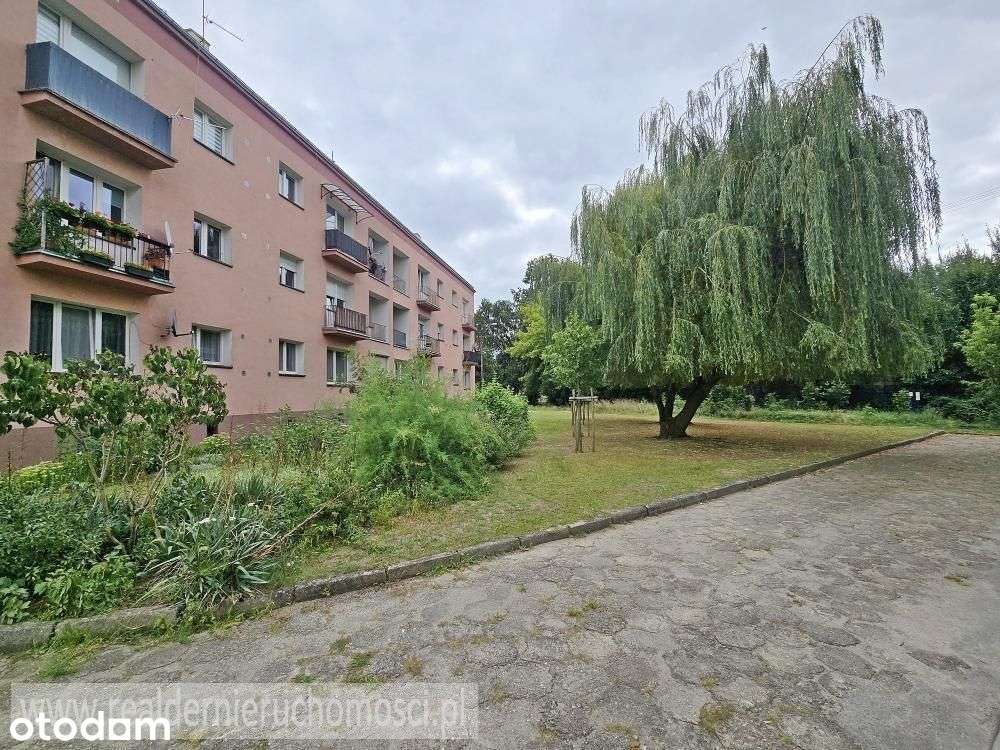 2 pokojowe mieszkanie z ładnym widokiem