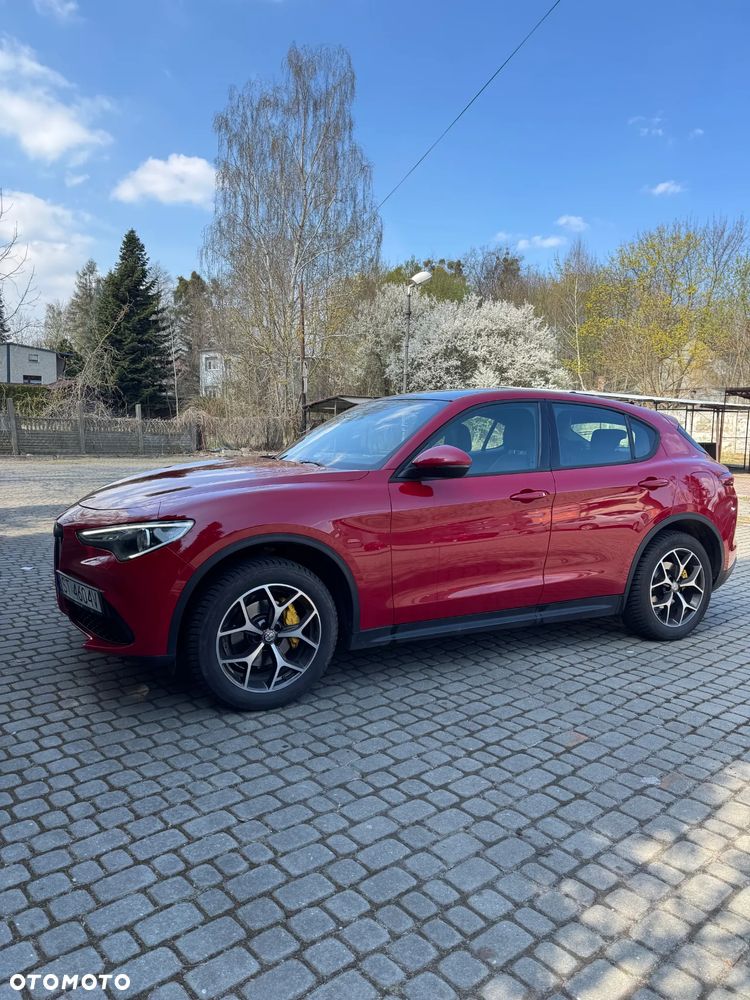 Alfa Romeo Stelvio 2.0 Turbo Executive Q4 - 7
