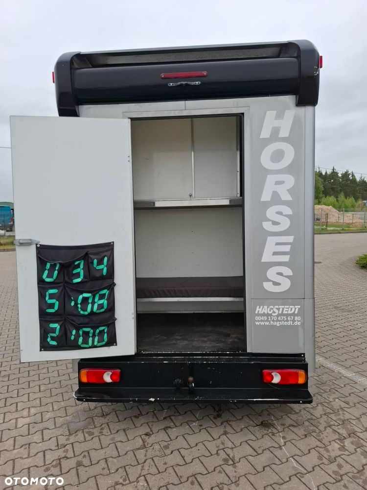 Peugeot BOXER 35, 2.0HDI / koniowóz Hagsted Horses - 8