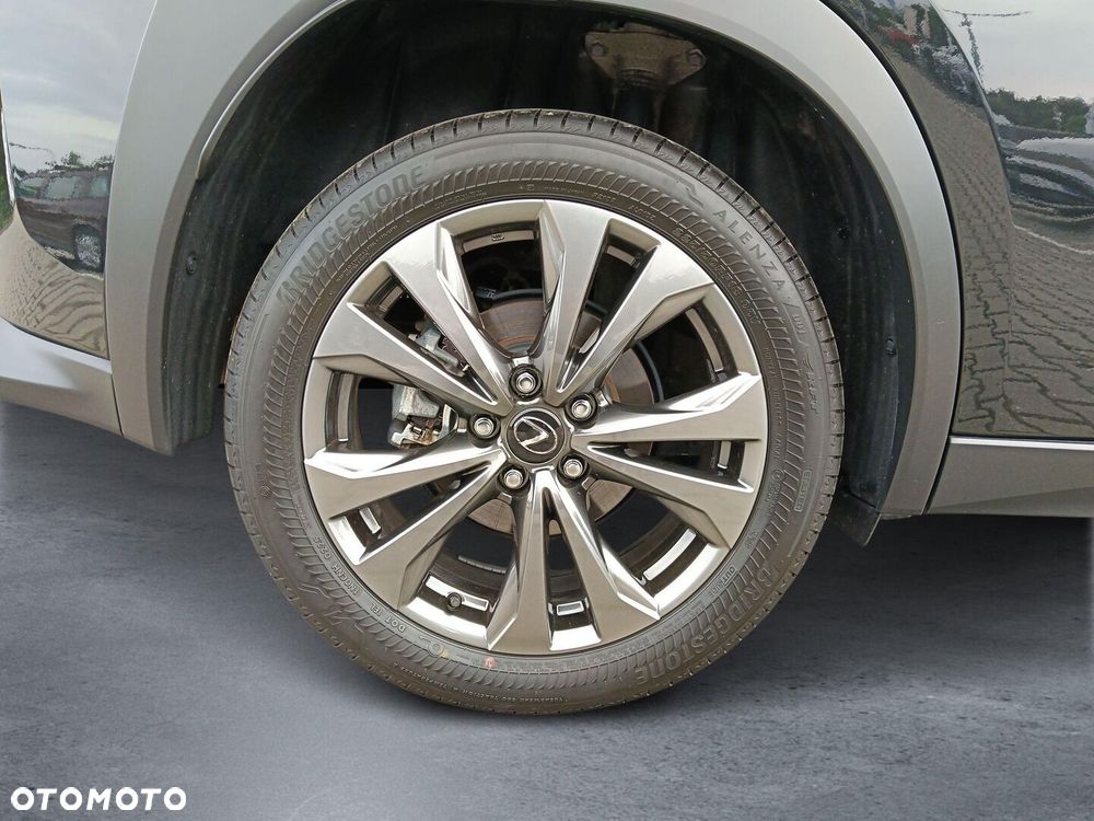 Lexus UX 300h F Sport Design - 19