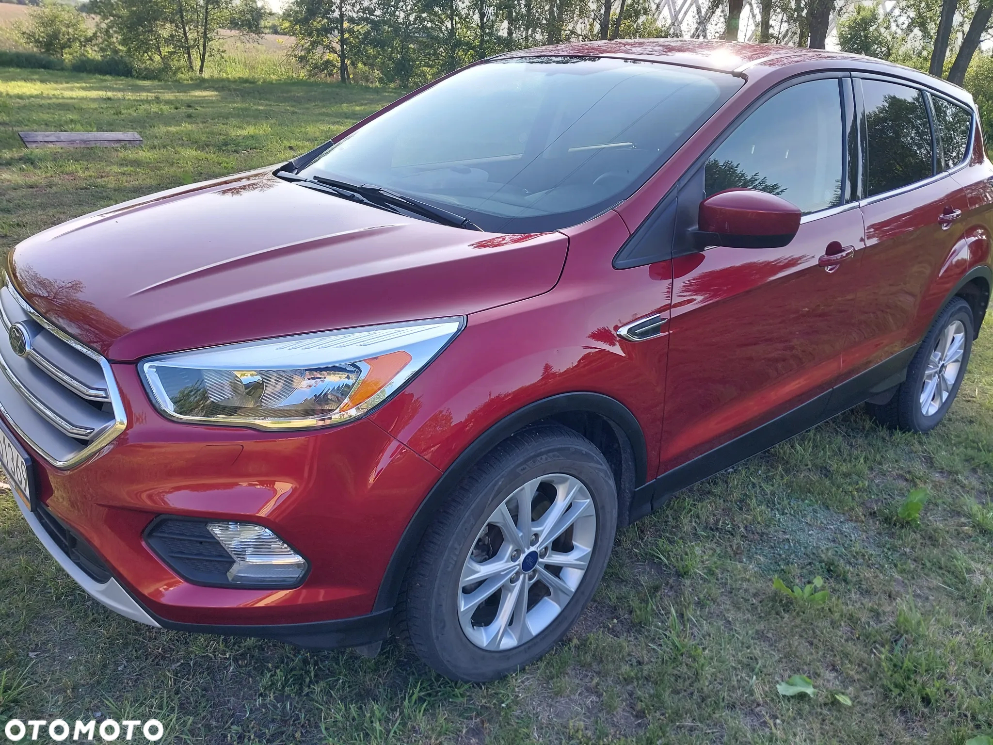 Ford Escape - 25