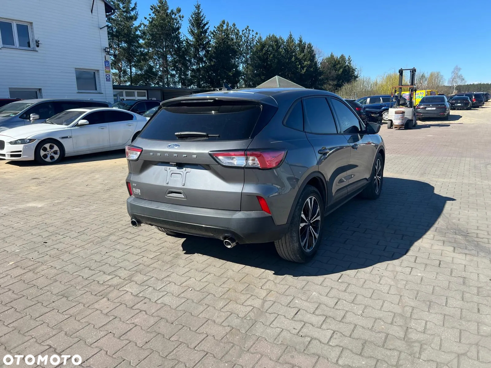 Ford Kuga 1.5 EcoBoost 4x4 SYNC - 5