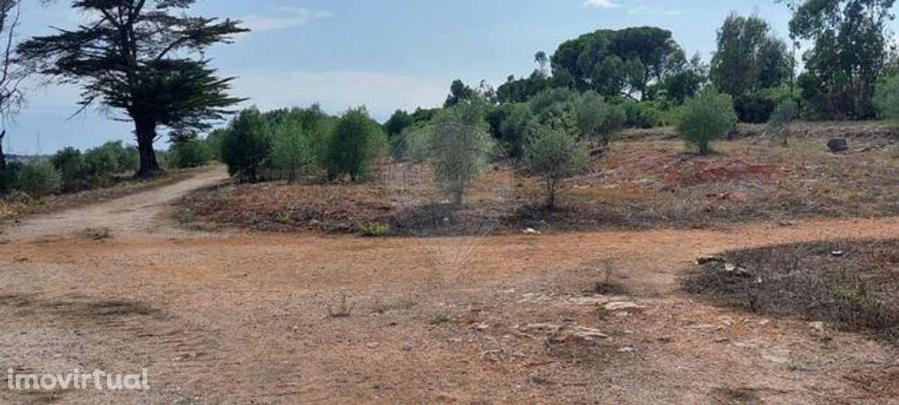 Terreno  para venda - Grande imagem: 3/3