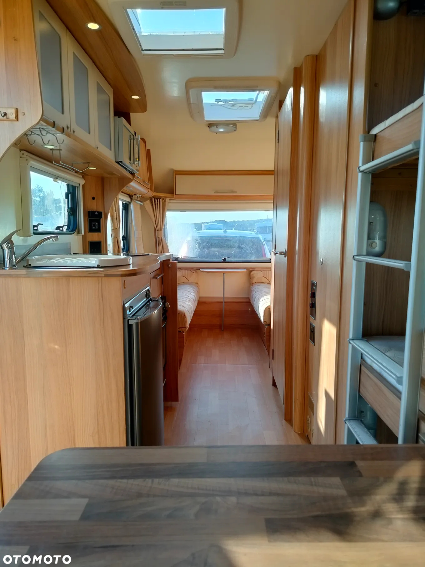 Bailey Orion - 23