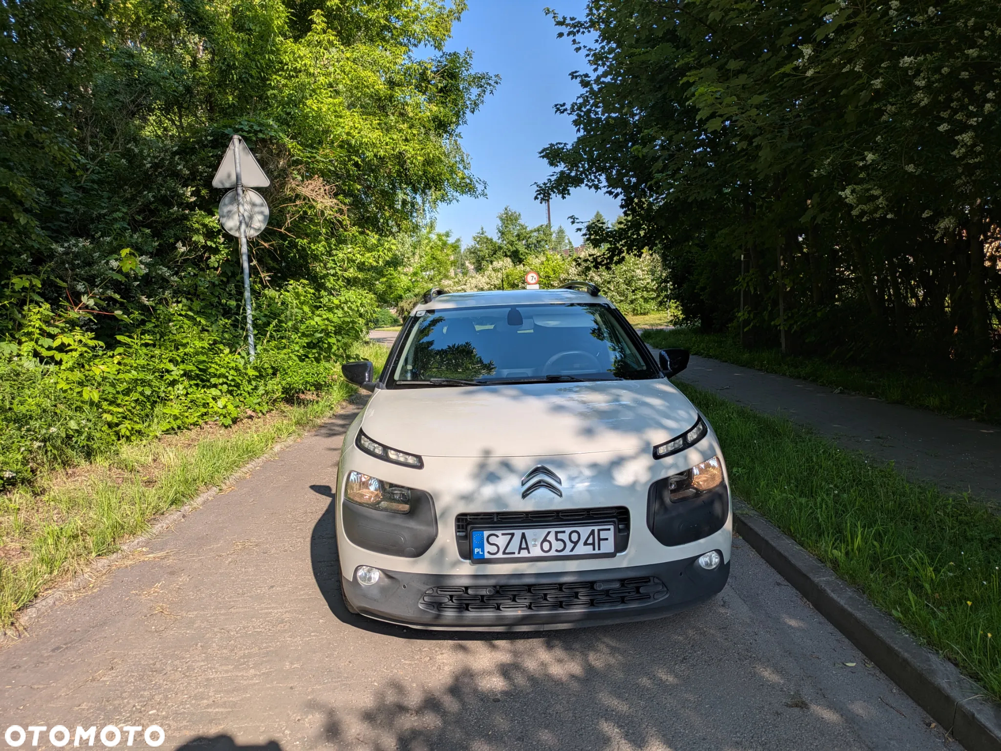 Citroën C4 Cactus 1.6 e-HDi Shine ETG - 2