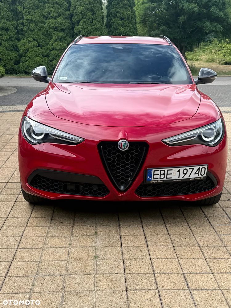 Alfa Romeo Stelvio 2.0 Turbo Veloce Q4 - 6