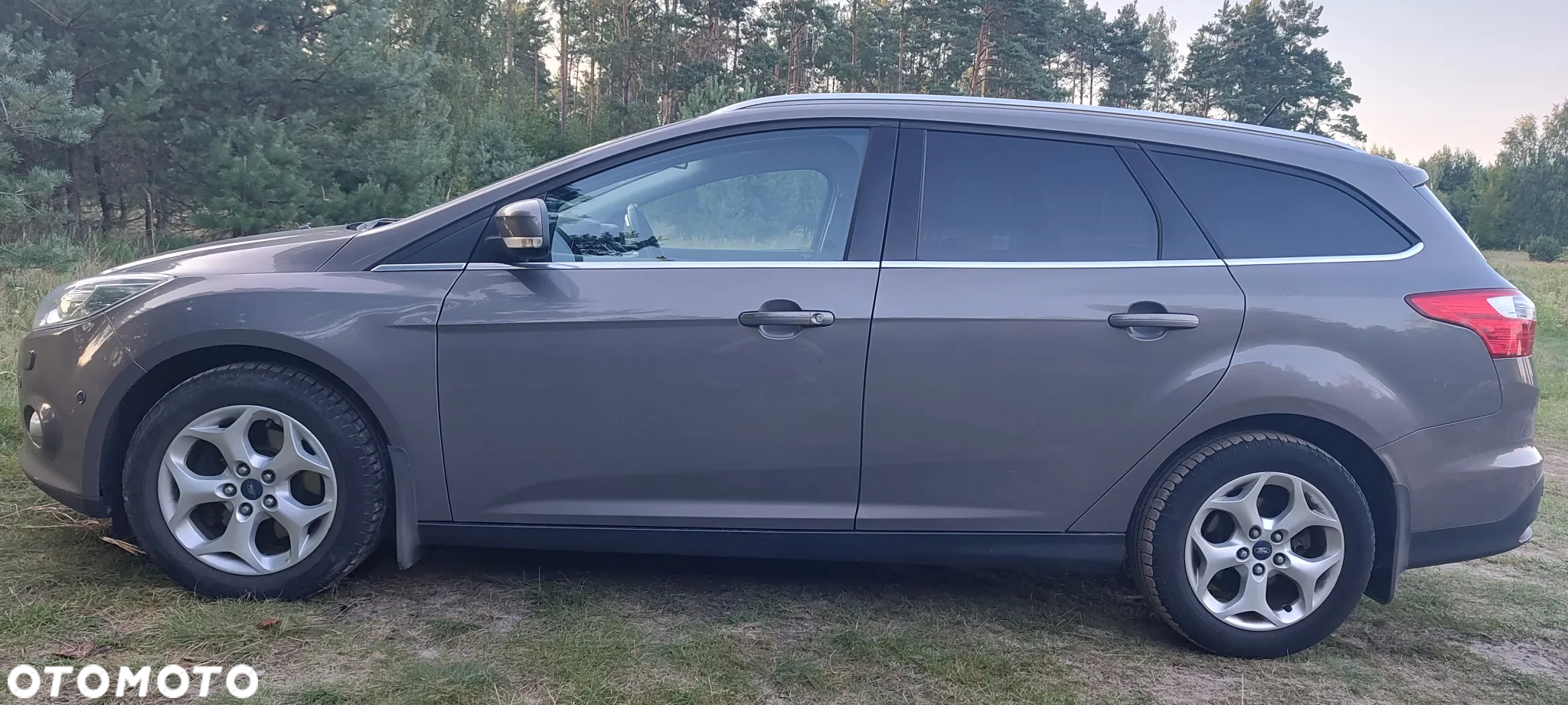Ford Focus - 6