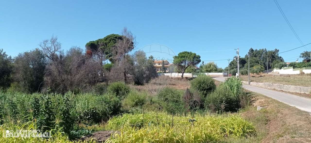 Terreno  para venda - Grande imagem: 5/6