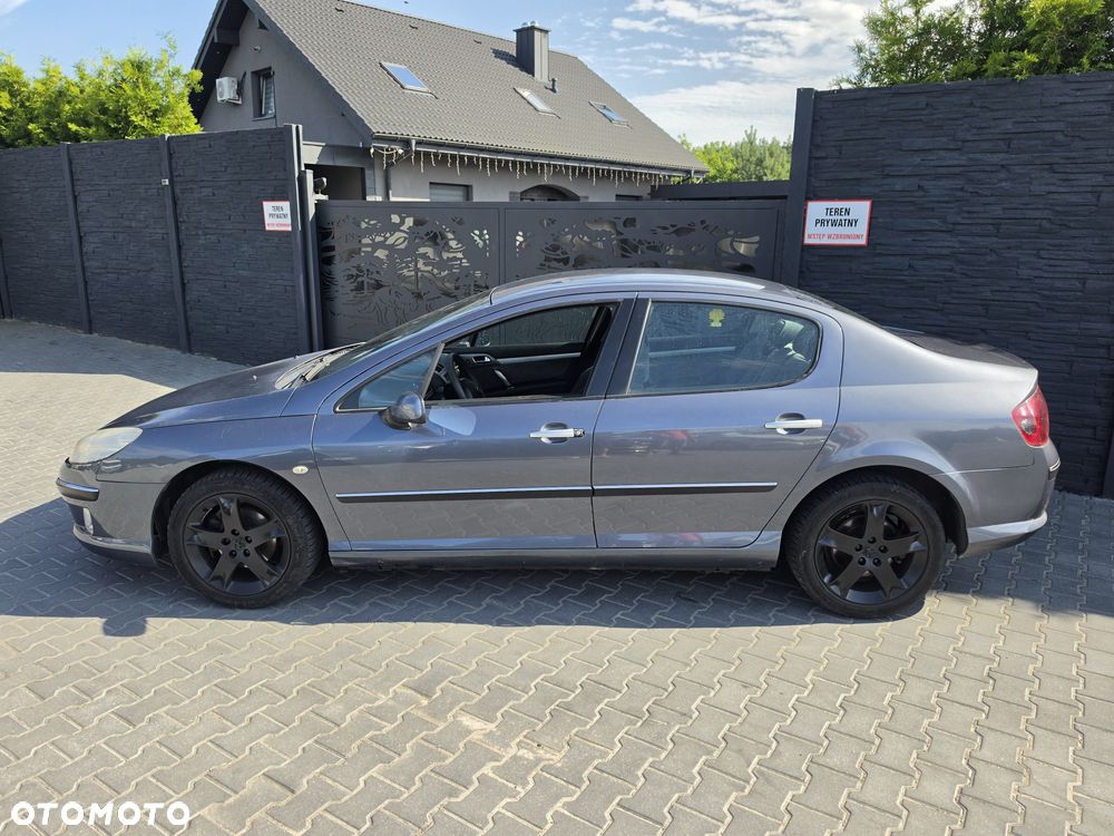 Peugeot 407 - 5