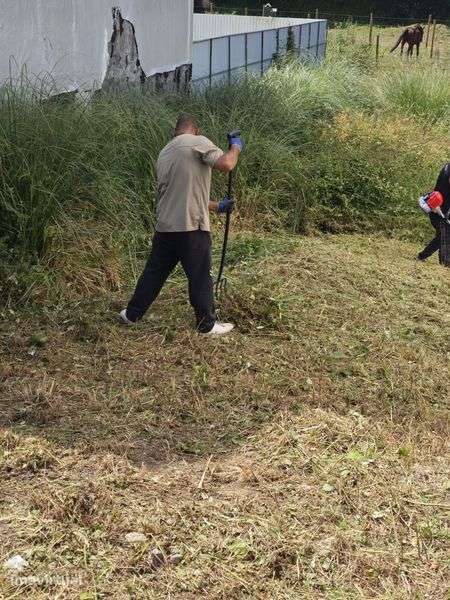Vendo terreno em Perosinho - Grande imagem: 2/3