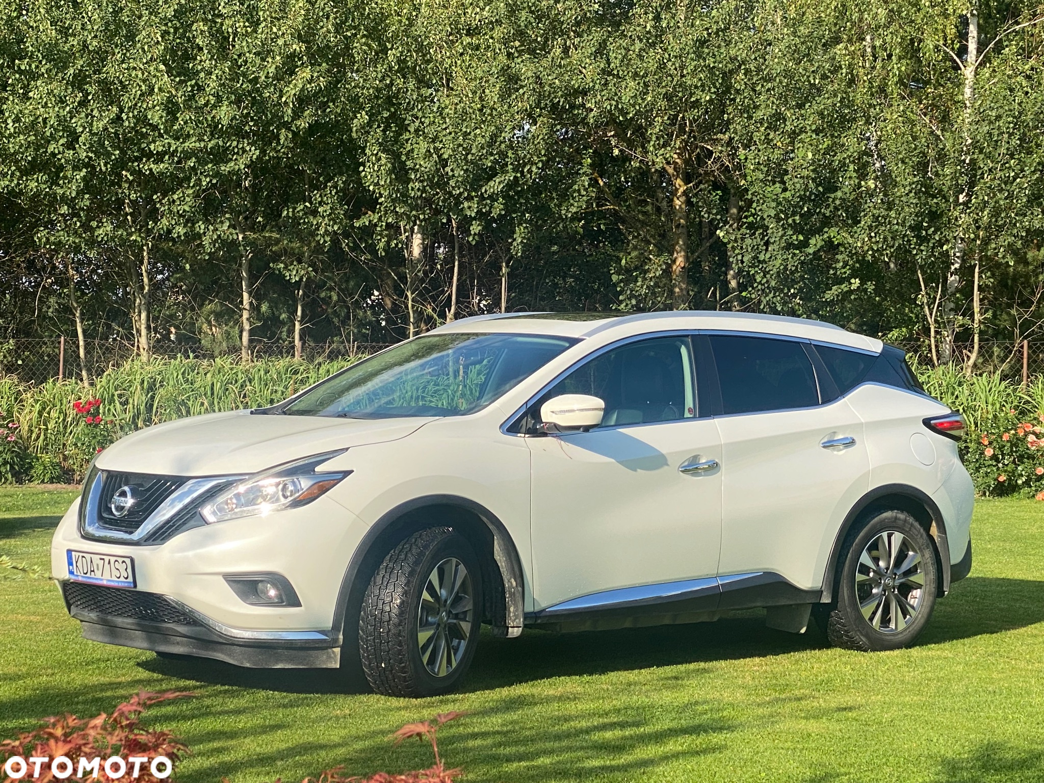 Nissan Murano 3.5 V6 Premium - 5