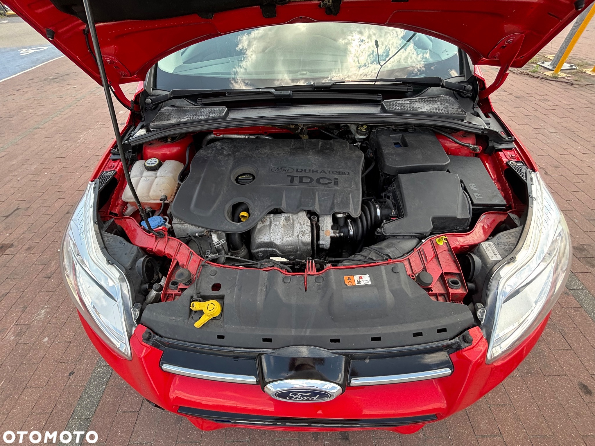 Ford Focus 1.6 TDCi ECOnetic 88g Start-Stopp-System Titanium - 17