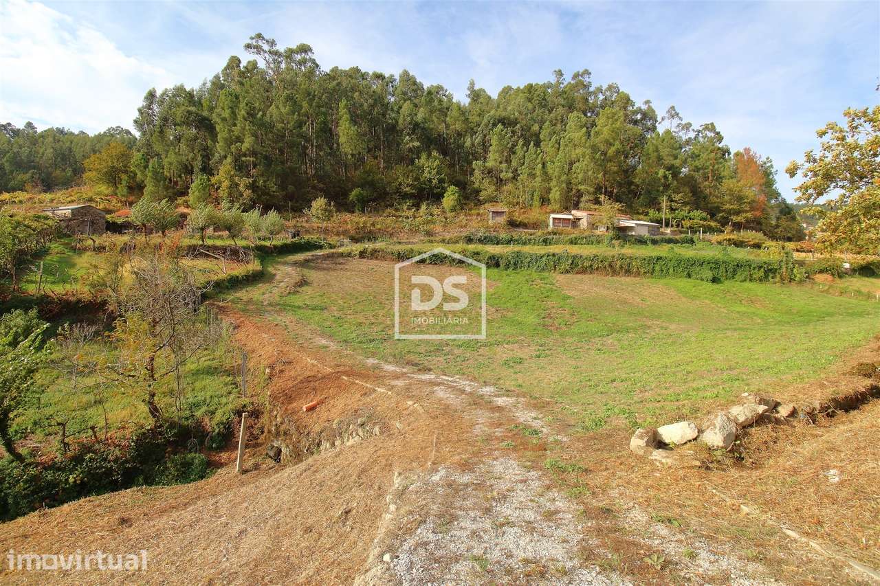 Terreno  Venda em Souselo,Cinfães - Grande imagem: 3/14