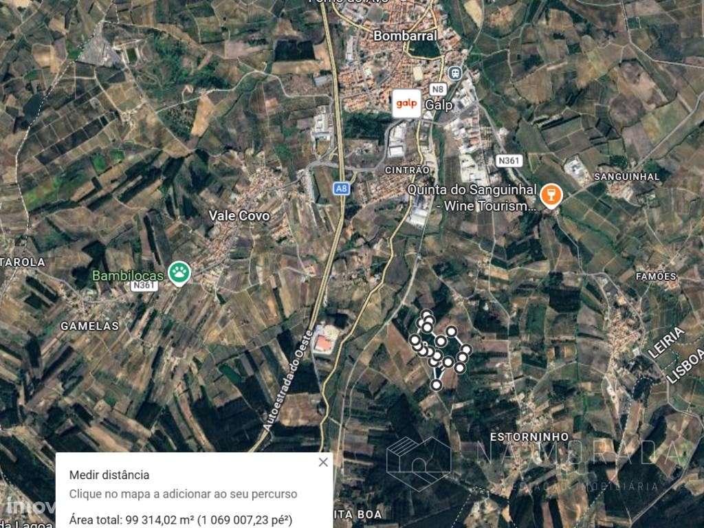 Terreno Rústico de 10 hectares nas Barreiras, Bombarral - Grande imagem: 5/29